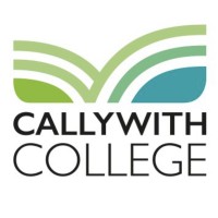 Callywith College LinkedIn2020